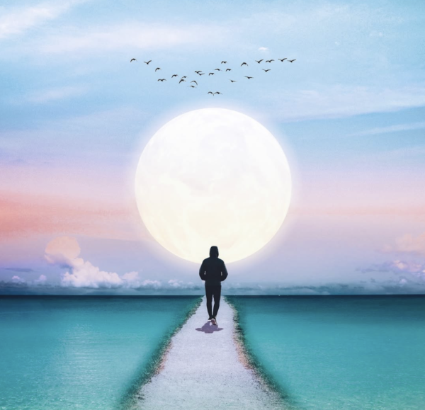 Mindful Mastery ~ Course Only Individual